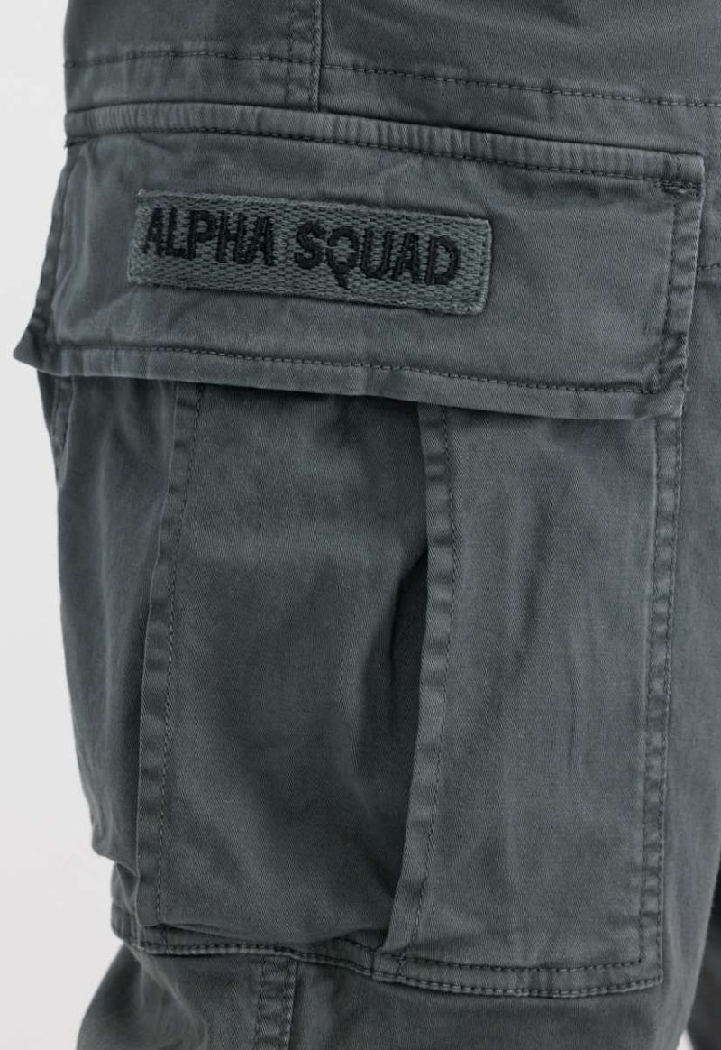 Alpha Industries Squad Pants Vintage Grey