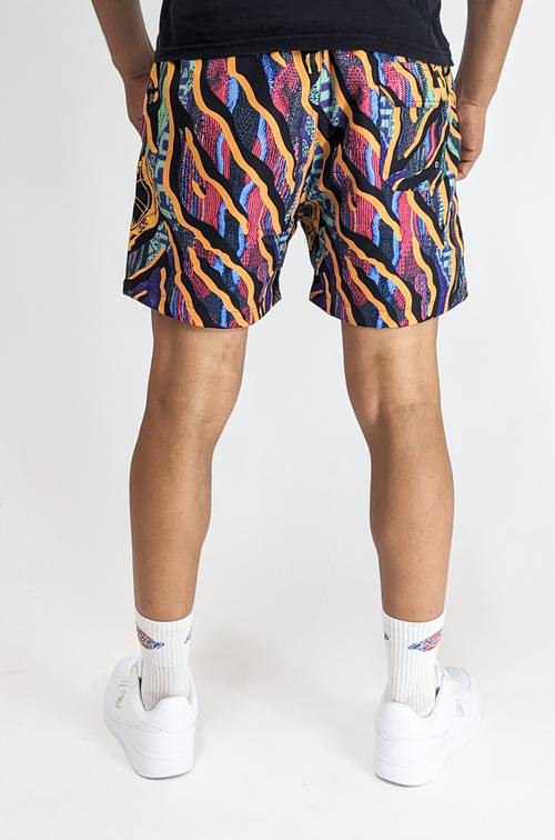 Carlo Colucci Swimshorts Multicolor