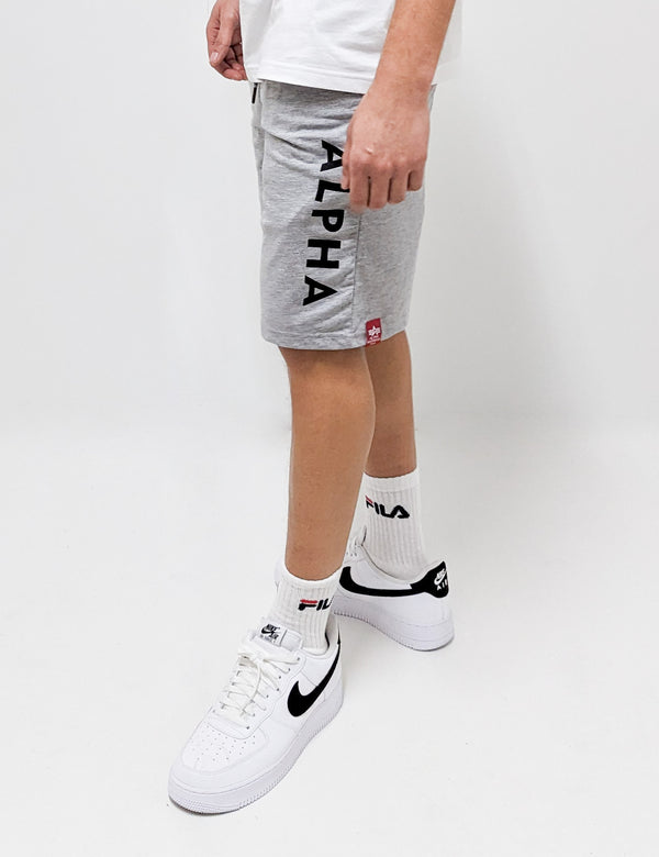 Alpha Industries Alpha Jersey Short Grey Heather - Soulsideshop