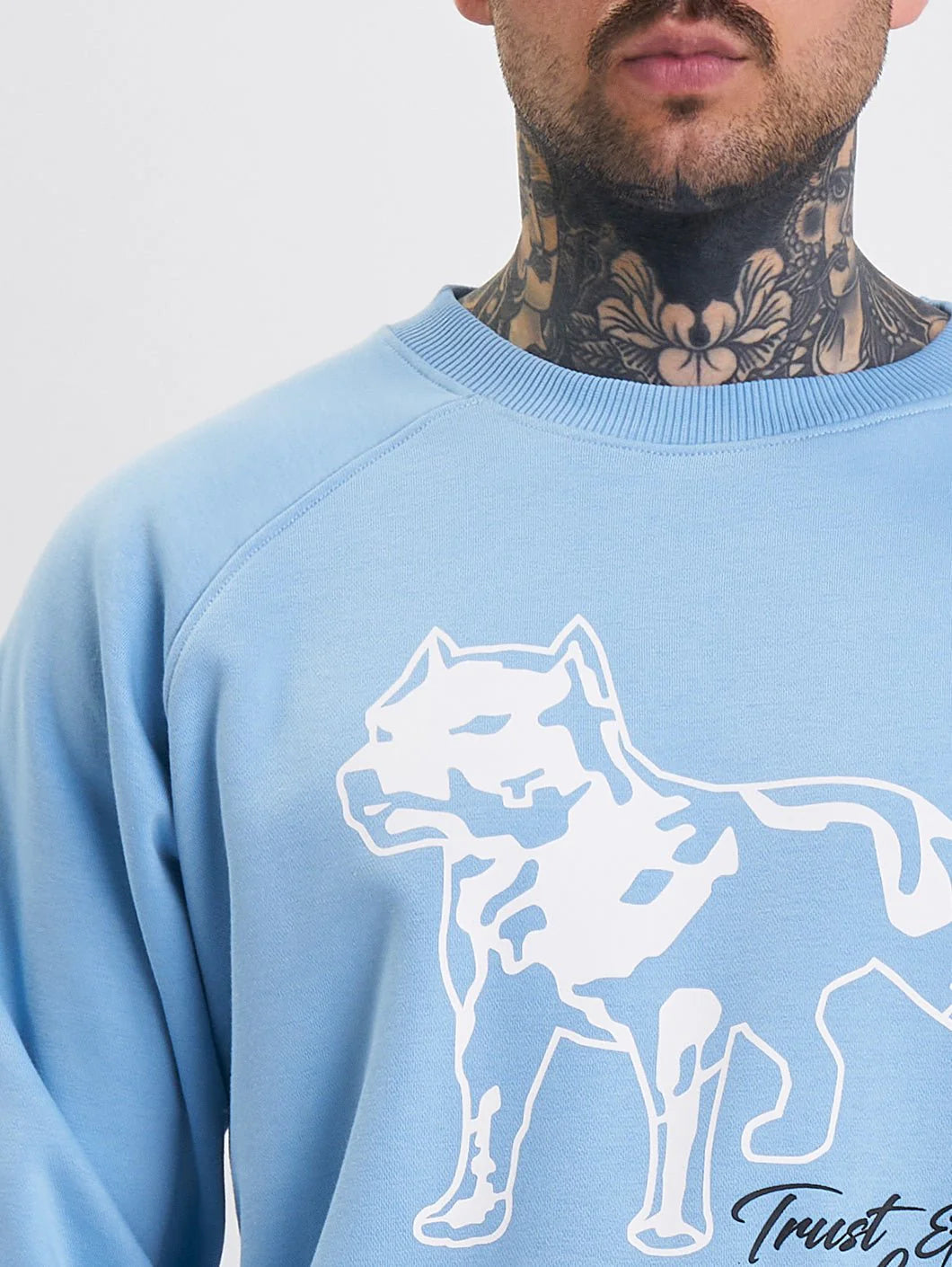 Amstaff Logo 2.0 Sweatshirt Horizon Blue - Soulsideshop