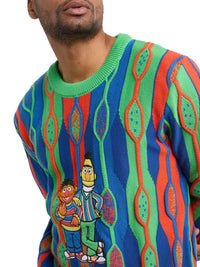 Carlo Colucci Sesame Street Ernie & Bert Strickpullover Multicolor