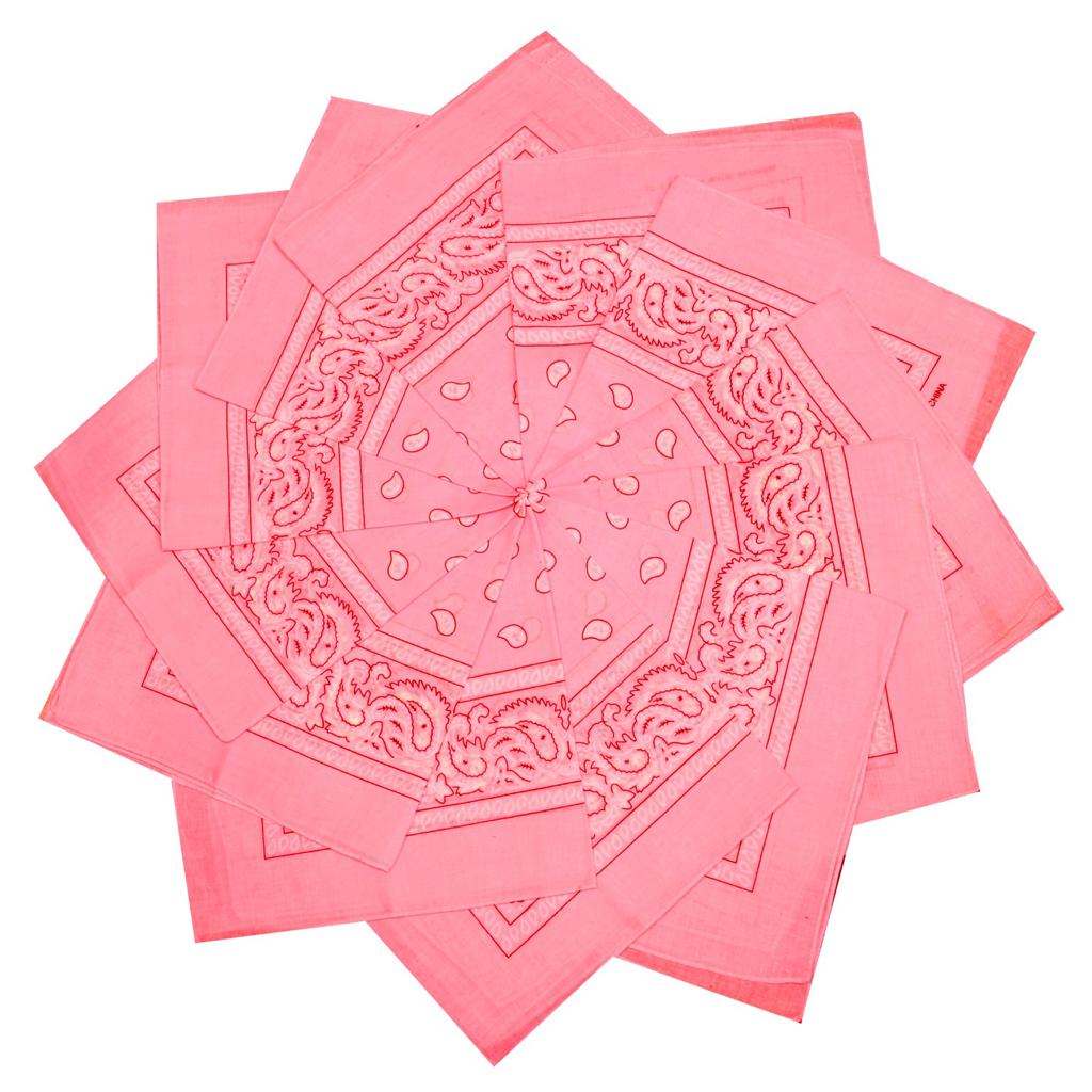 HoodBoyz Bandana Paisly Rosa