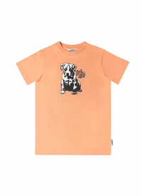 Amstaff Kids Vezda T-Shirt Peach